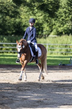 Bild 274 - Pony Akademie Turnier